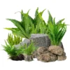 microsorum-pteropus-Java_Fern_Complete_Care_Guide_Castle_Dawn_Aquatics_480x480 Java Fern
