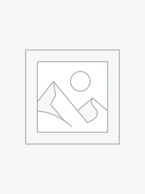 Alternanthera Reineckii Mini